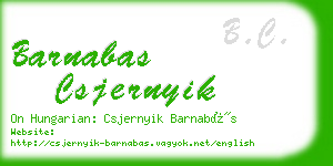 barnabas csjernyik business card